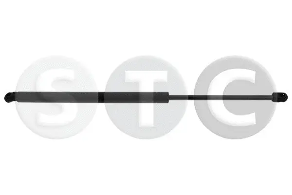 Gas Spring, boot/cargo area (T446826)