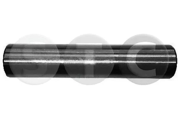 Mounting, axle strut (T405264)