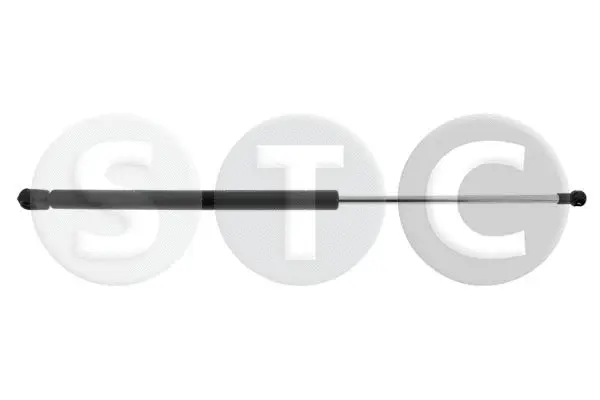 Gas Spring, boot/cargo area (T446145)