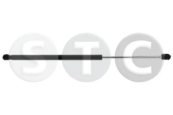 Gas Spring, boot/cargo area (T446415)