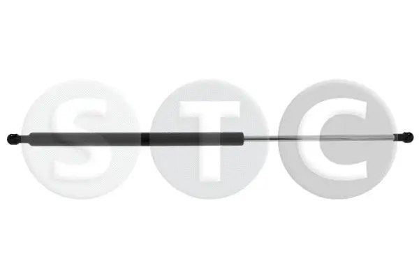 Gas Spring, boot/cargo area (T446368)