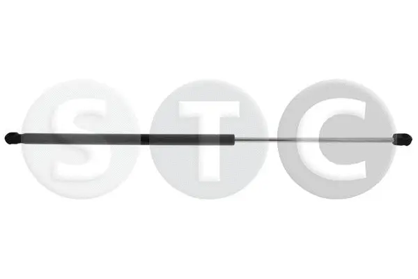 Gas Spring, boot/cargo area (T446160)
