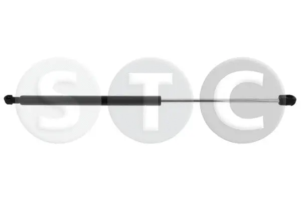 Gas Spring, boot/cargo area (T446619)
