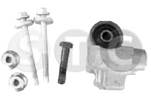 Bushing, axle beam (T443450)