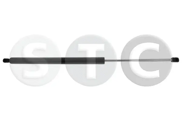 Gas Spring, boot/cargo area (T446624)
