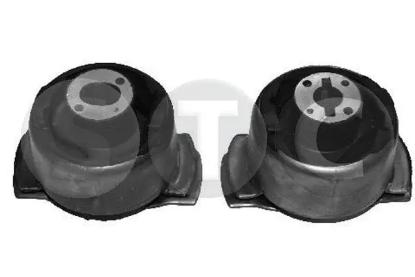 Bushing, axle beam (T404476)