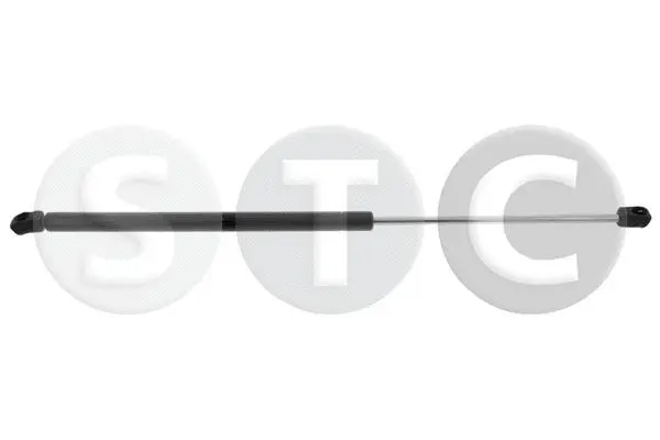 Gas Spring, boot/cargo area (T446421)