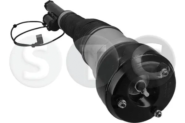 Air Suspension Strut (T442907)