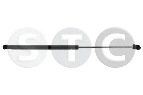 Gas Spring, boot/cargo area (T446184)