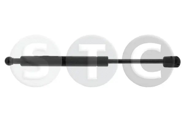 Gas Spring, boot/cargo area (T446791)