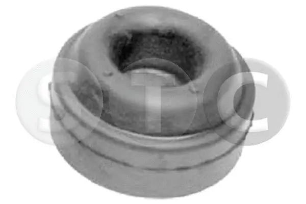 Mounting, control/trailing arm (T444261)