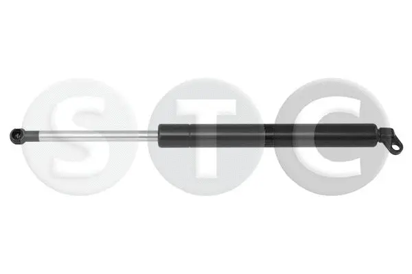 Gas Spring, boot/cargo area (T446419)