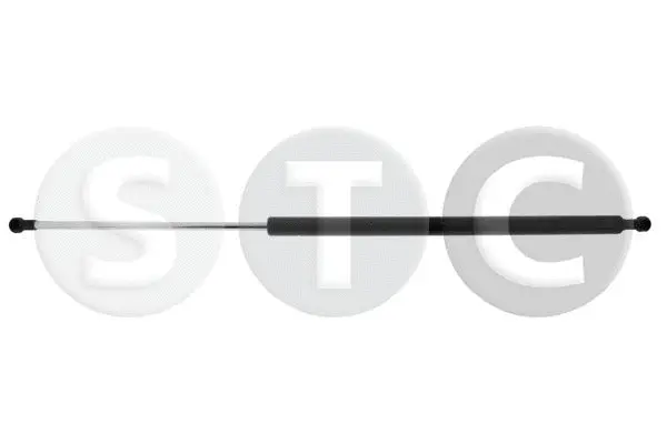 Gas Spring, boot/cargo area (T446363)