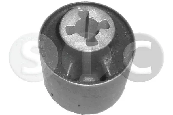 Bushing, axle beam (T405433)