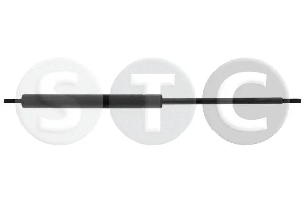 Gas Spring, boot/cargo area (T446461)