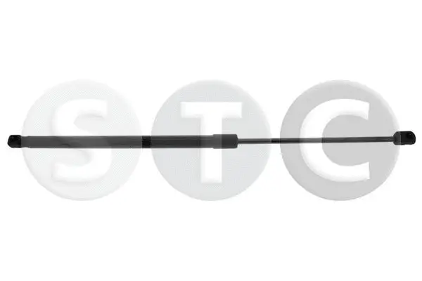 Gas Spring, boot/cargo area (T446445)