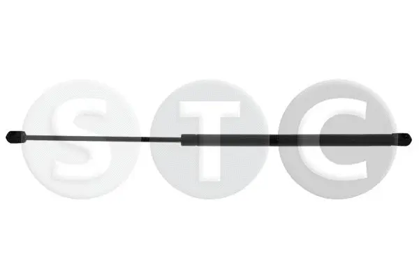 Gas Spring, boot/cargo area (T446896)