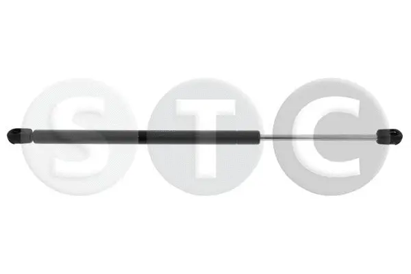 Gas Spring, boot/cargo area (T446865)