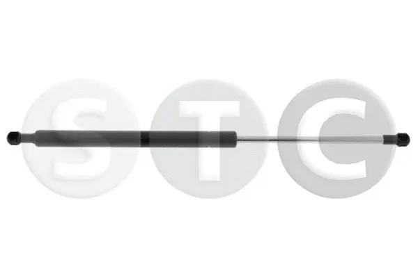 Gas Spring, bonnet (T446841)