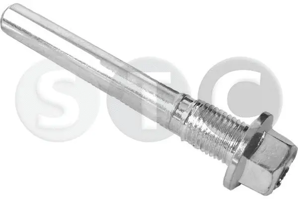 Guide Bolt, brake caliper (T458087)