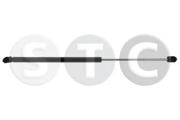 Gas Spring, boot/cargo area (T446429)