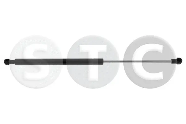 Gas Spring, boot/cargo area (T446443)