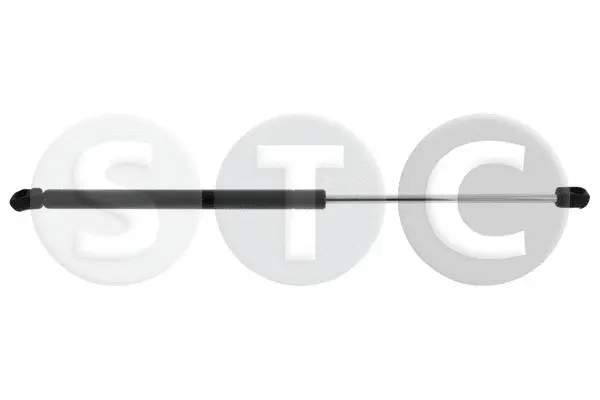 Gas Spring, boot/cargo area (T446431)