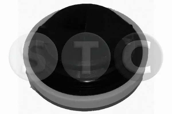 Sealing Cap, oil filler neck (T403674)