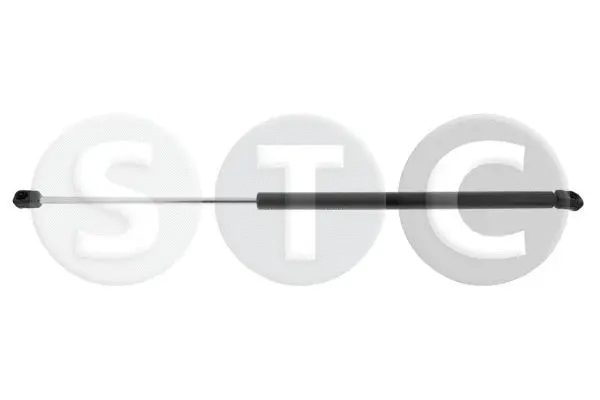 Gas Spring, boot/cargo area (T446842)