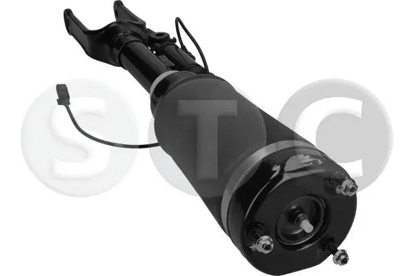 Air Suspension Strut (T442922)