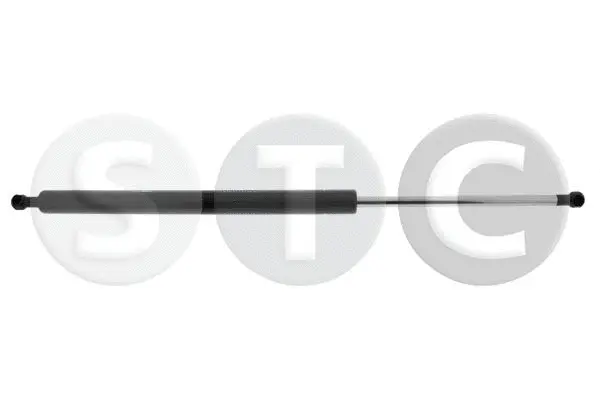 Gas Spring, boot/cargo area (T446748)