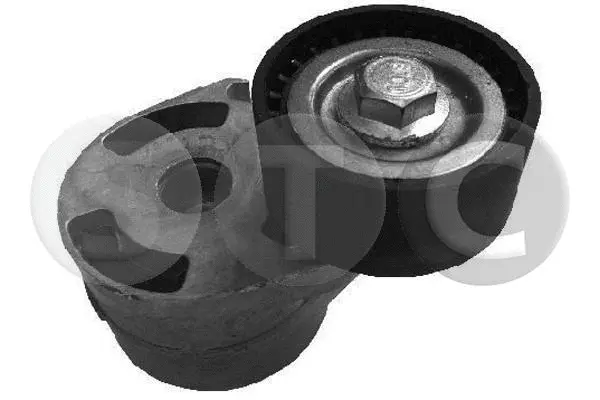 Tensioner Pulley, V-ribbed belt (T405491)