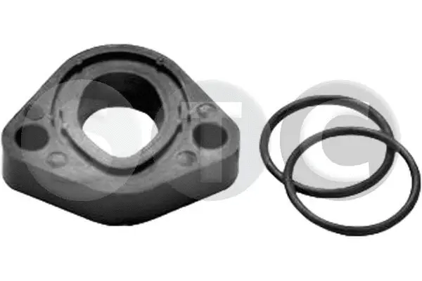 Holding Bracket, fuel pump (T493874)