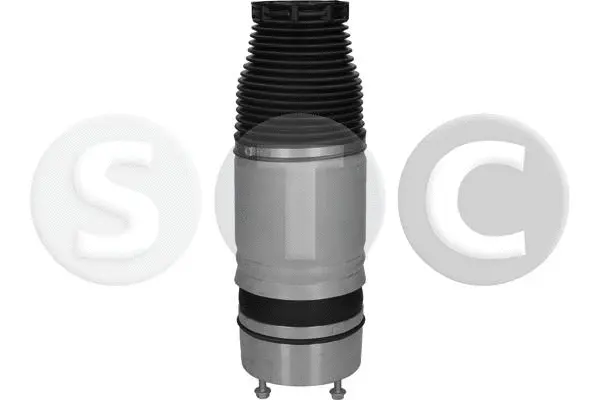 Air Spring, suspension