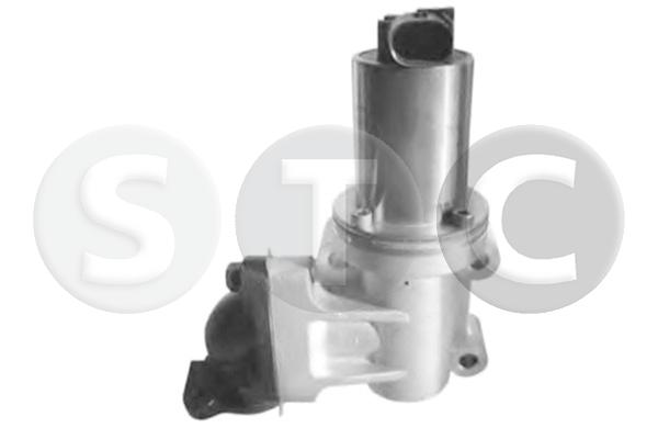EGR Valve (T493174)