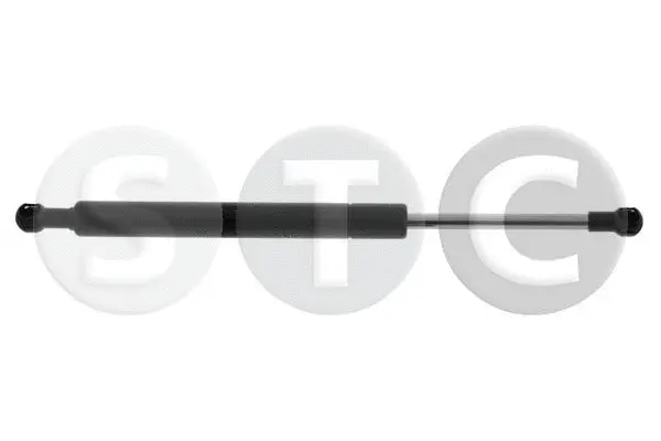 Gas Spring, boot/cargo area (T446908)