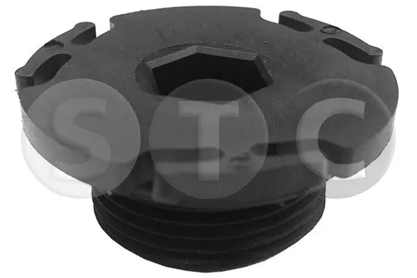 Screw Plug, oil sump (T402705)
