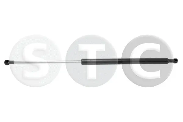 Gas Spring, boot/cargo area (T446437)