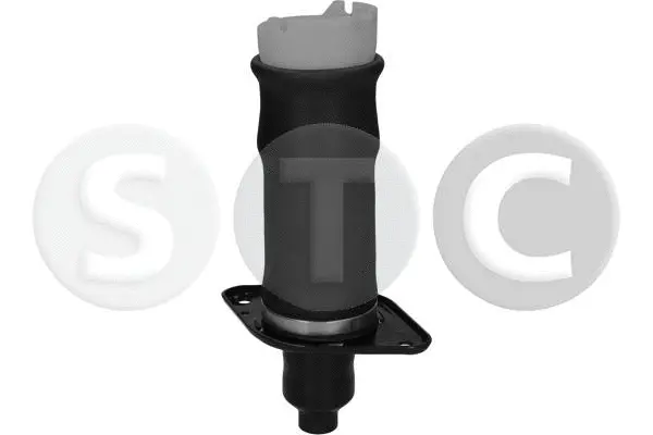 Air Spring, suspension