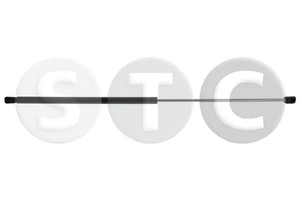 Gas Spring, bonnet (T446835)