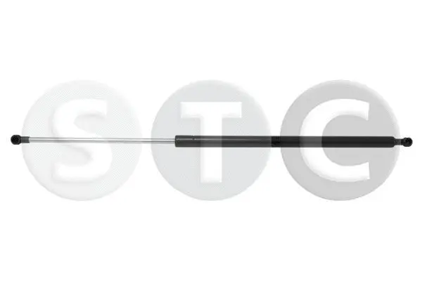 Gas Spring, boot/cargo area (T446173)