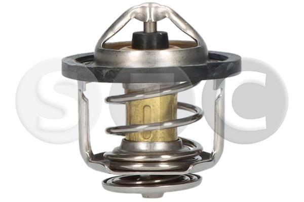 Thermostat, coolant (T403254)