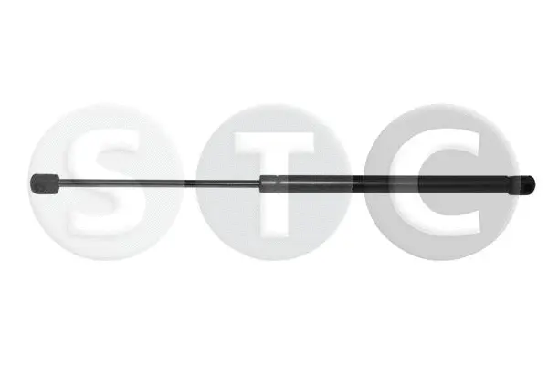 Gas Spring, boot/cargo area (T446776)