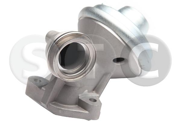 EGR Valve (T493129)