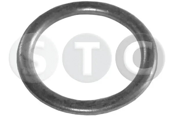Seal Ring, oil drain plug (T402002)