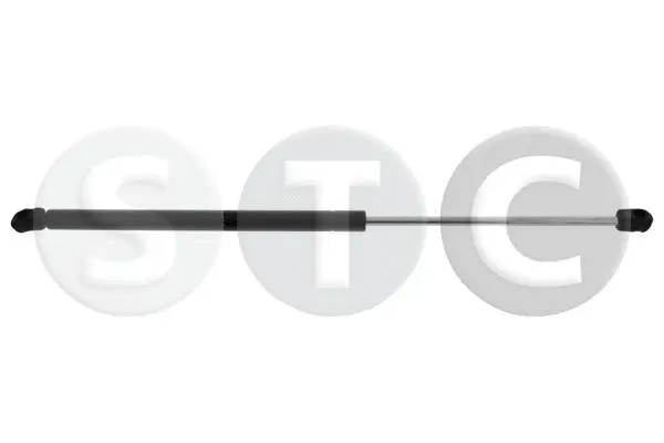 Gas Spring, boot/cargo area (T446265)