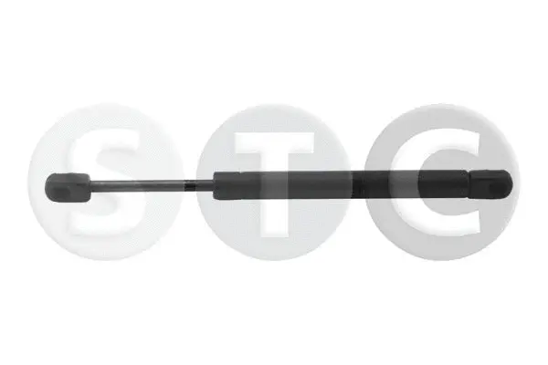 Gas Spring, boot/cargo area (T446772)