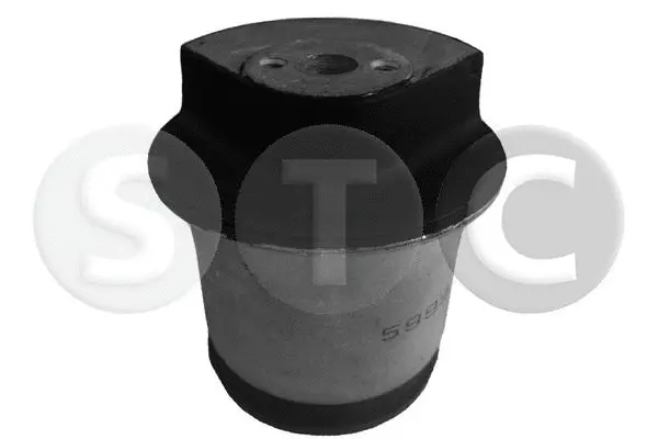 Bushing, axle beam (T405999)