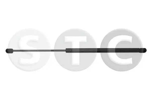 Gas Spring, boot/cargo area (T446724)