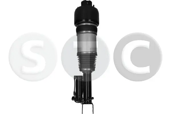 Air Suspension Strut (T442932)